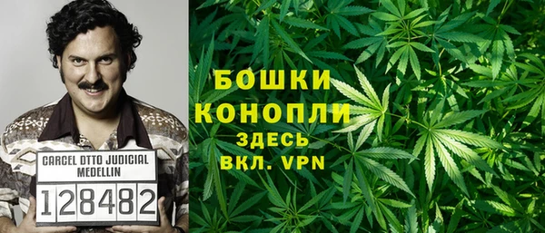 твердый Богородск