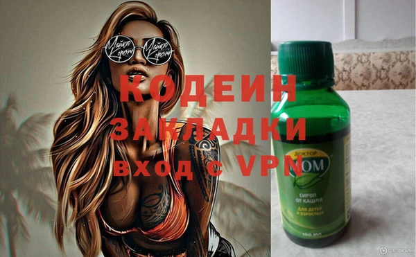 прущие грибы Богданович