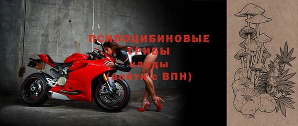 твердый Богородск