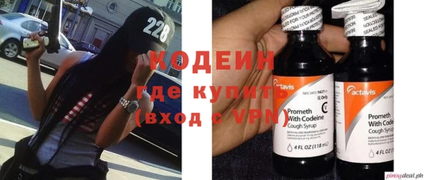 прущие грибы Богданович
