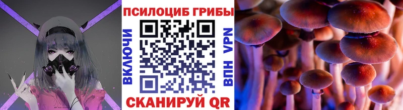 Псилоцибиновые грибы Cubensis  Ершов 