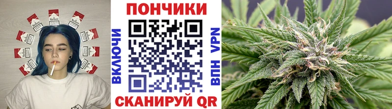 Шишки марихуана VHQ  хочу наркоту  Ершов 